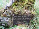 image of grave number 648775